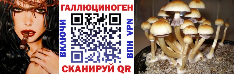 Купить где  Ухта  Псилоцибиновые грибы прущие грибы 