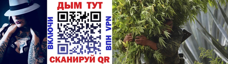 Каннабис гибрид Ухта